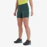 Montane Ineo Lite Leggings