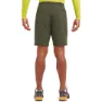 Montane Terra Shorts