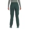 Montane Terra Strech Bukser