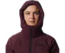 Mountain Hardwear Stretch Down Parka