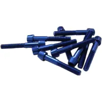 MSC BIKES Alu7075t6 Anodised Bolt 10 Enheter MSC BIKES Alu7075t6 Anodised Bolt 10 Enheter
