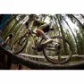 MSC BIKES Roller Tubeless 29´´ X 2.10 Mtb-dekk, Clear, 29" x 2.10, Sykkeldekk
