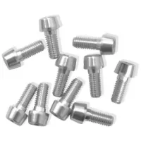 MSC BIKES Tiso Bolts M5x12 Snodised Skrue 10 Enheter
