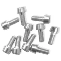 MSC BIKES Tiso Bolts M6x20 Argent Anodised Skrue 10 Enheter MSC BIKES Tiso Bolts M6x20 Argent Anodised Skrue 10 Enheter