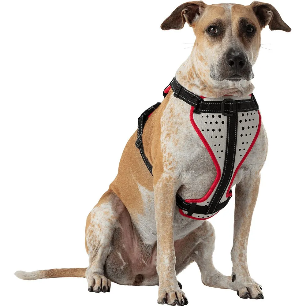 Nathan Reflective Hundesele