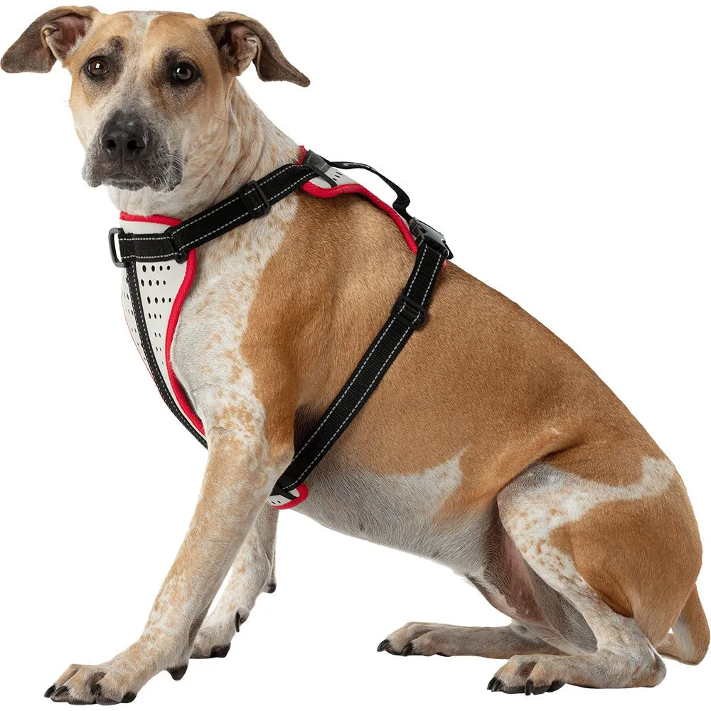 Nathan Reflective Hundesele