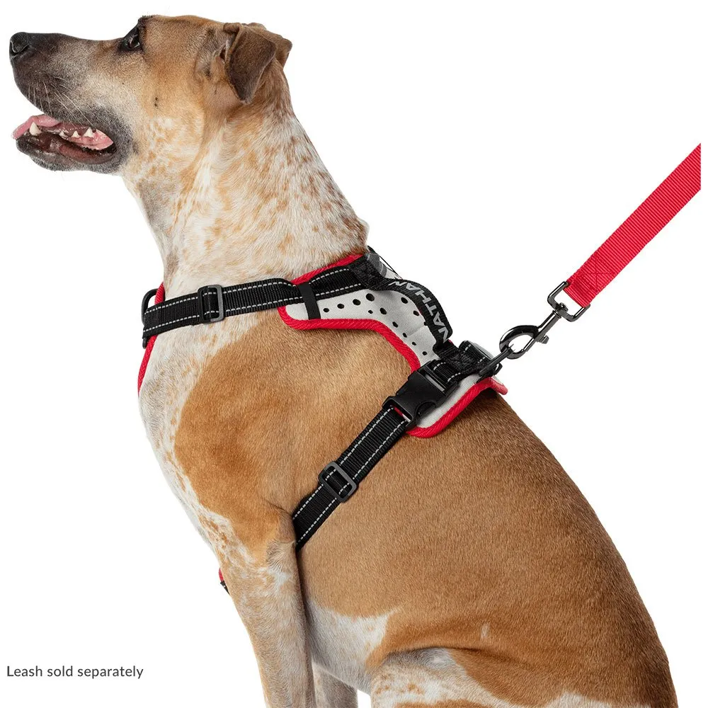 Nathan Reflective Hundesele