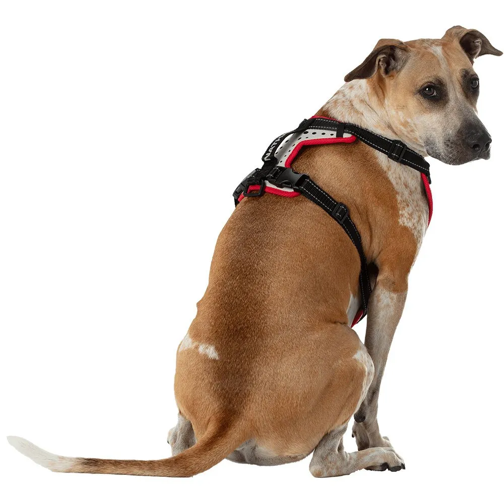 Nathan Reflective Hundesele