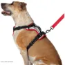 Nathan Reflective Hundesele