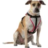 Nathan Reflective Hundesele