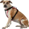 Nathan Reflective Hundesele