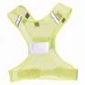 Nathan Streak Vest male