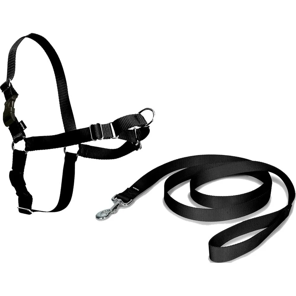 Nayeco Easy Walk Hundesele