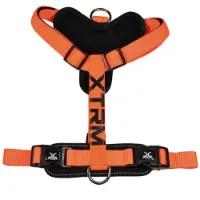 Nayeco X-trm Cronos Neon Flash 35-60x1.5 Cm Hundesele