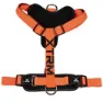 Nayeco X-trm Cronos Neon Flash 35-60x1.5 Cm Hundesele, Orange, One Size