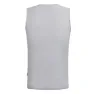 Ndlss Baselayer