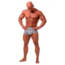 Nebbia 701 Boxers