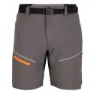 Newwood Erlay Shorts, Grey / orange