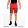 Newwood Horse Shorts