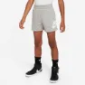 Nike Club Fit Hbr Shorts