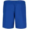 Nike Logo 5´´ Badebukse