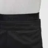 Nike Pro dri-fit Leggings