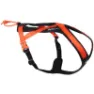 Black/orange