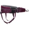 Non-stop Dogwear Trekking Belt 2.0, Purple 2, L