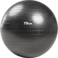 Nordic Fighter Pilatesboll 75
