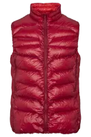 Nordisk Alto Vest