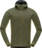 Olive night/olive drab
