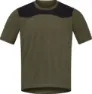 Olive night