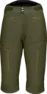 Olive night