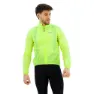 Yellow fluo