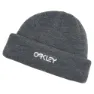 Oakley B1b Logo Lue