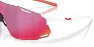 Oakley CYBR Dyno Briller