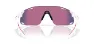 Oakley CYBR Dyno Briller