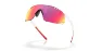Oakley CYBR Dyno Briller