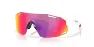 Oakley CYBR Dyno Briller