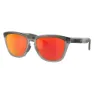 Oakley Frogskins Range Solbriller