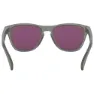 Oakley Frogskins Xs Prizm Solbriller For Barn, Matte grey ink, Prizm Sapphire/CAT3