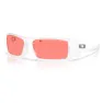 Oakley Gascan Solbriller