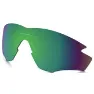 Prizm daily polarized/cat3
