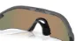 Oakley Radar Plate Prizm 24k Polarized