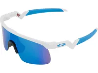 Oakley Resistor Prizm Solbriller