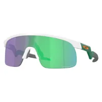 Oakley Resistor Prizm Solbriller Oakley Resistor Prizm Solbriller
