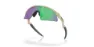 Oakley Resistor Sweep Brille