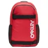 Oakley The Freshman Skate Sekk 20l