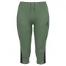 Loden frost 1