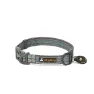 OllyDog Flagstaff Collar